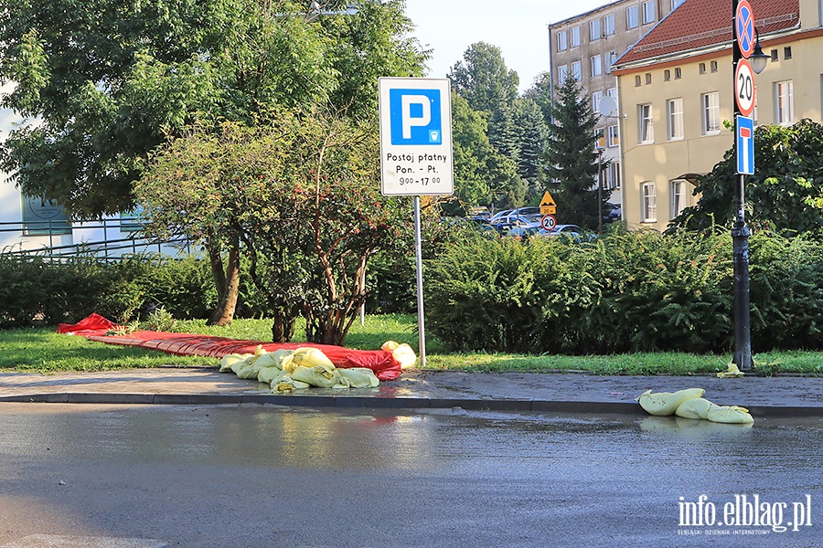 Zwizku Jaszczurczego po powodzi, fot. 1