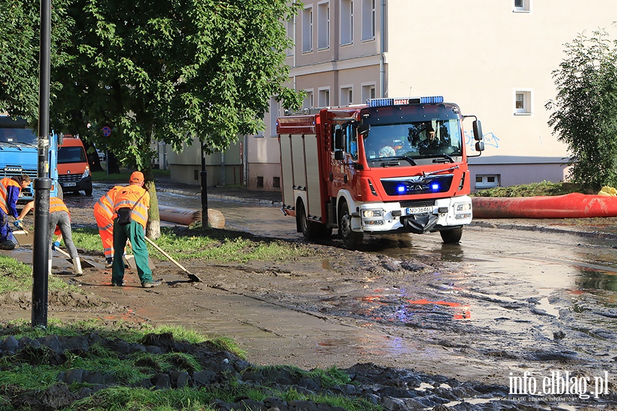 Zwizku Jaszczurczego po powodzi, fot. 12