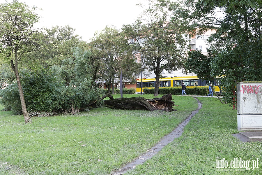Elbląg po powodzi, fot. 39
