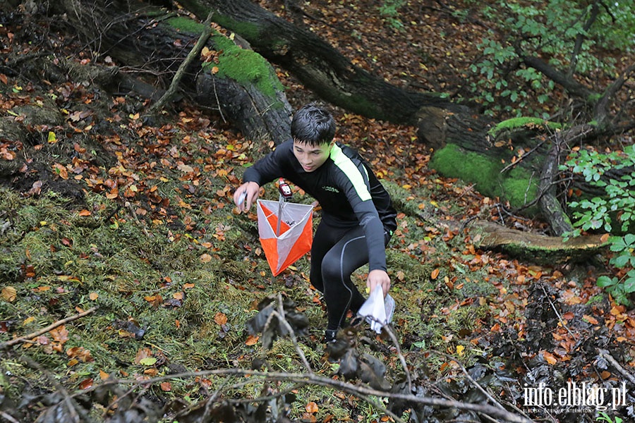 Dzie Sportu - bieg na orientacje i turniej tenisa stoowego, fot. 29