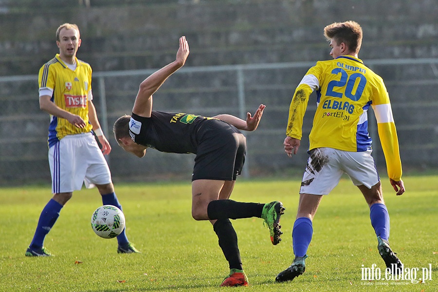 Olimpia Elbląg-Siarka Tarnobrzeg, fot. 23