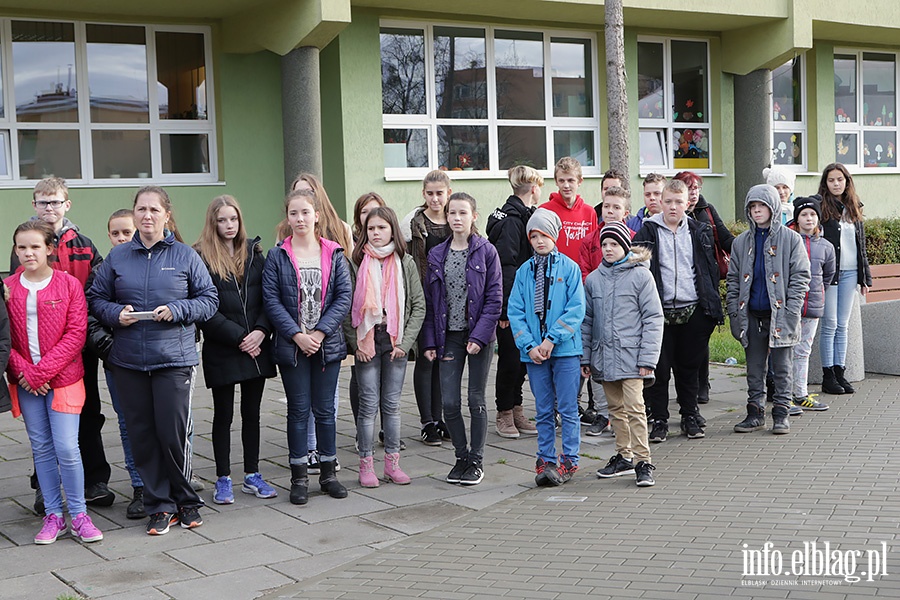 Elblg zakwitnie nadziej, fot. 3