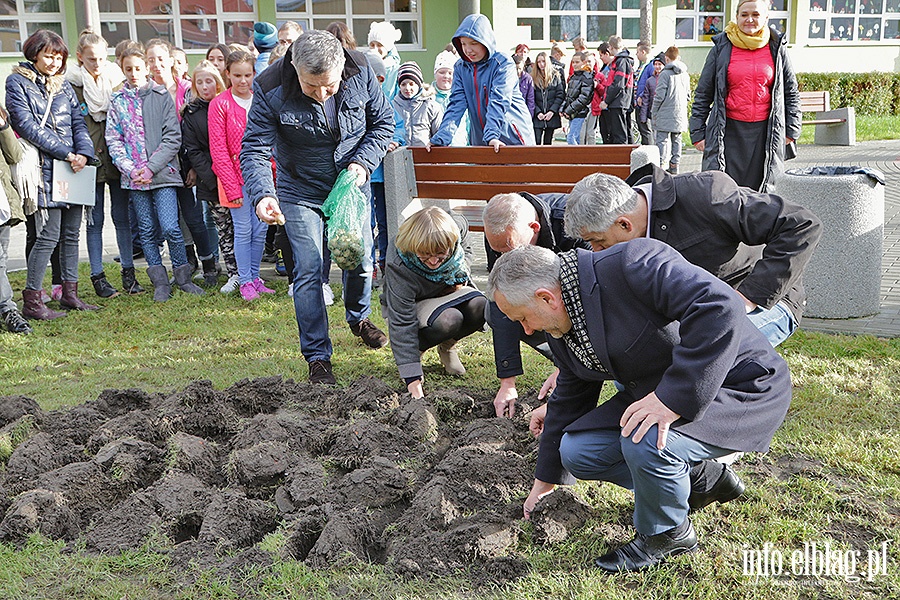 Elblg zakwitnie nadziej, fot. 14