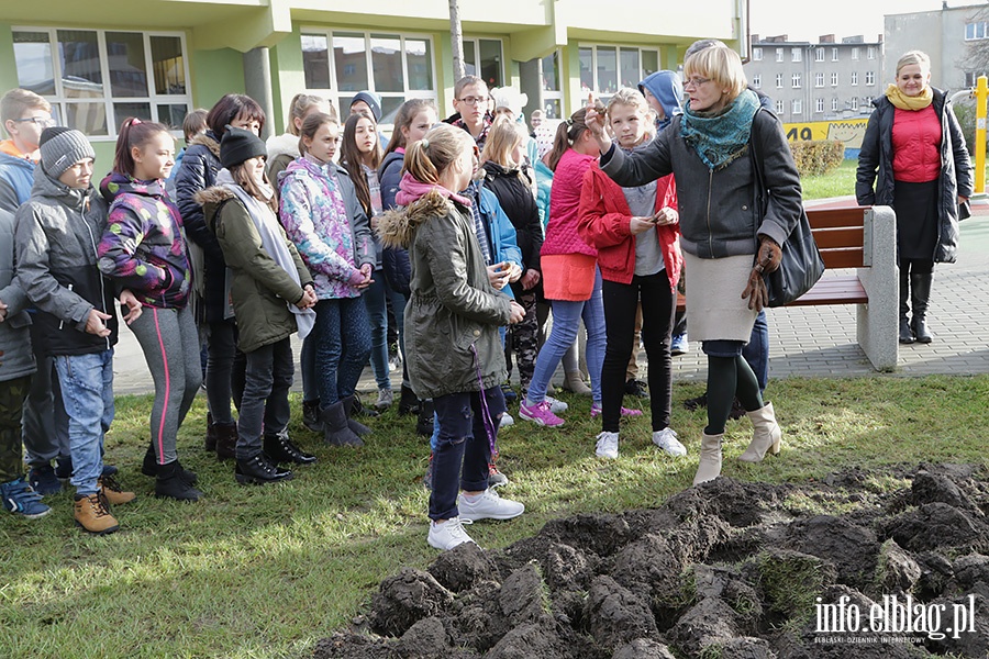 Elblg zakwitnie nadziej, fot. 15