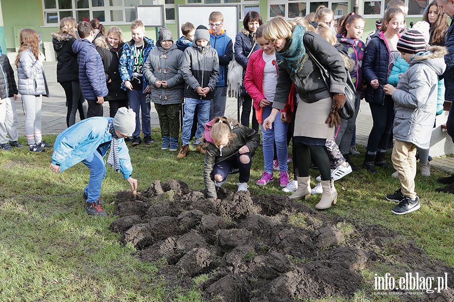 Elblg zakwitnie nadziej, fot. 16