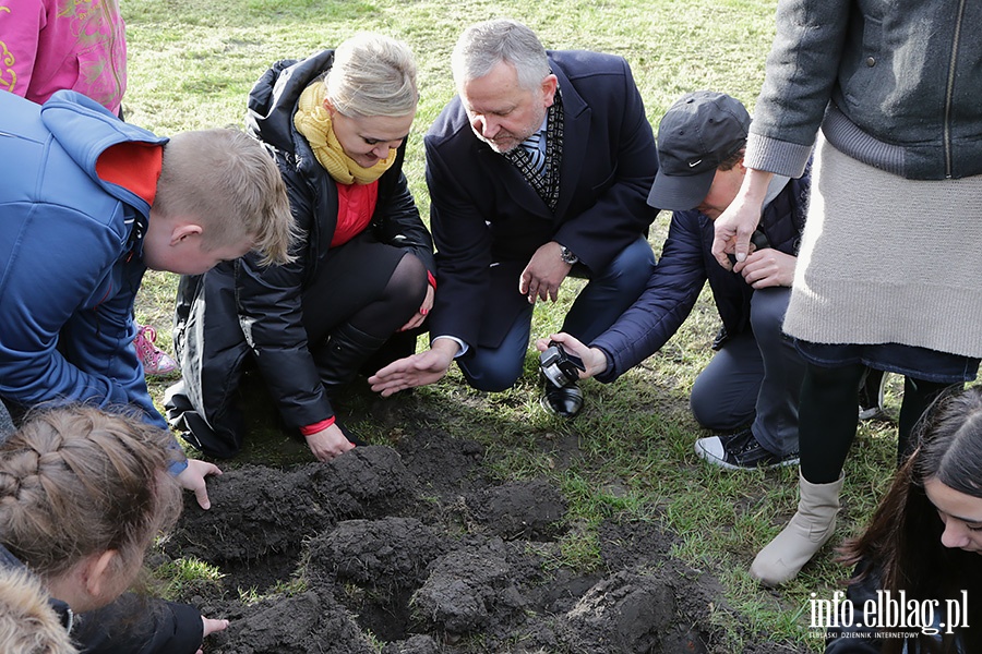 Elblg zakwitnie nadziej, fot. 21