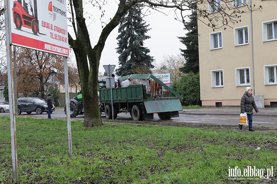 Z przyczepy wypad adunek melasy., fot. 2