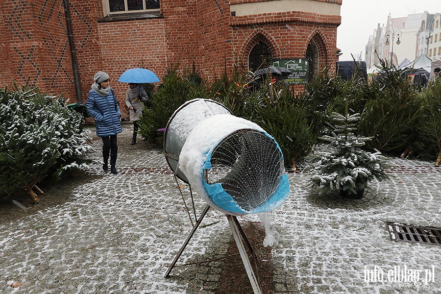 Świateczny nastrój zawitał do Elbląga., fot. 57