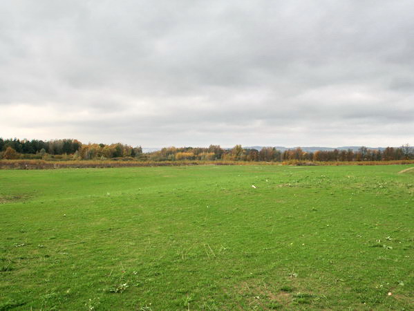 Otwarcie Akademii Golfa Sand Valley Golf & Country Club, fot. 29
