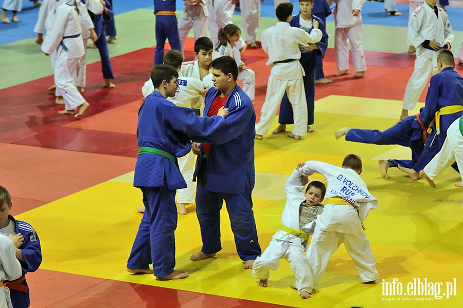 Judo Camp, fot. 100