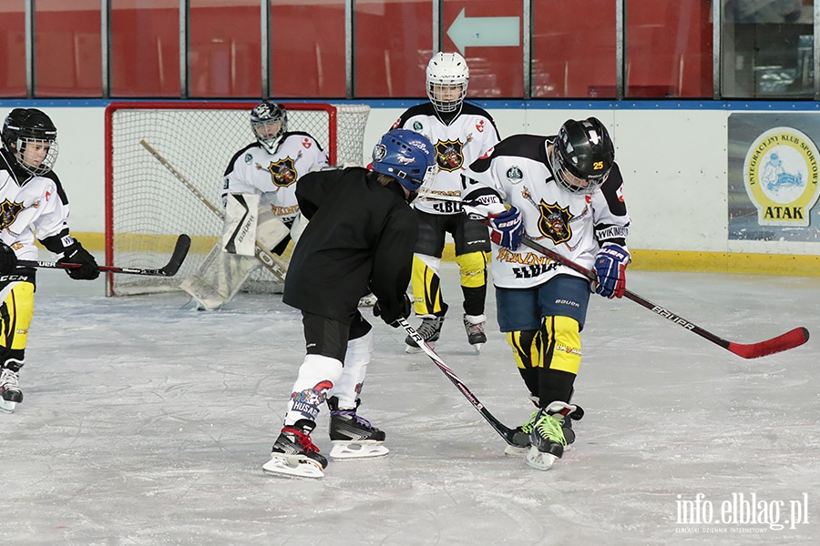 Turniej hokeja na lodzie, fot. 5