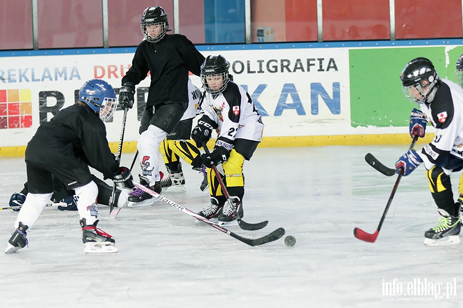 Turniej hokeja na lodzie, fot. 7