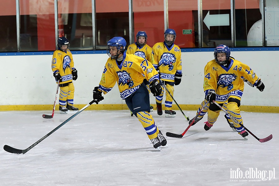 Turniej hokeja na lodzie, fot. 31
