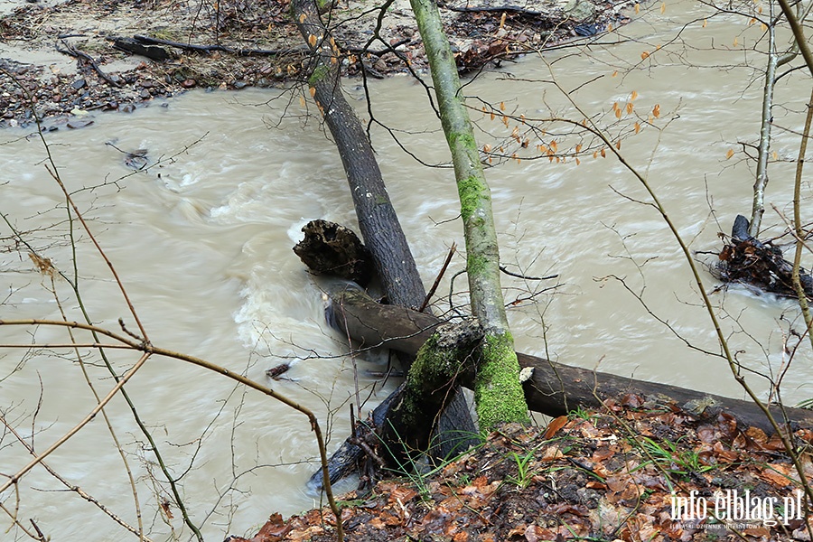 Baantarnia Czerwony Szlak, fot. 45