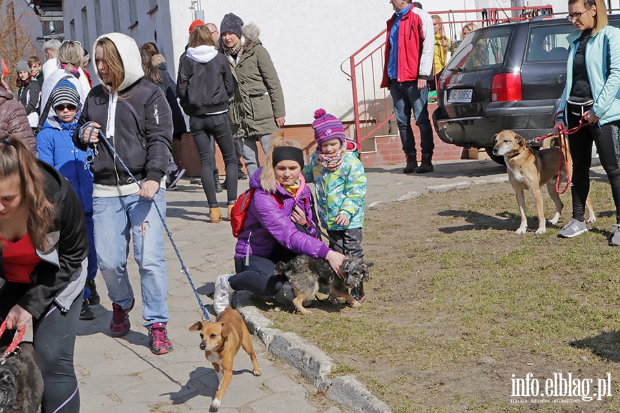 Wielkonocny Bieg na Sze ap, fot. 15