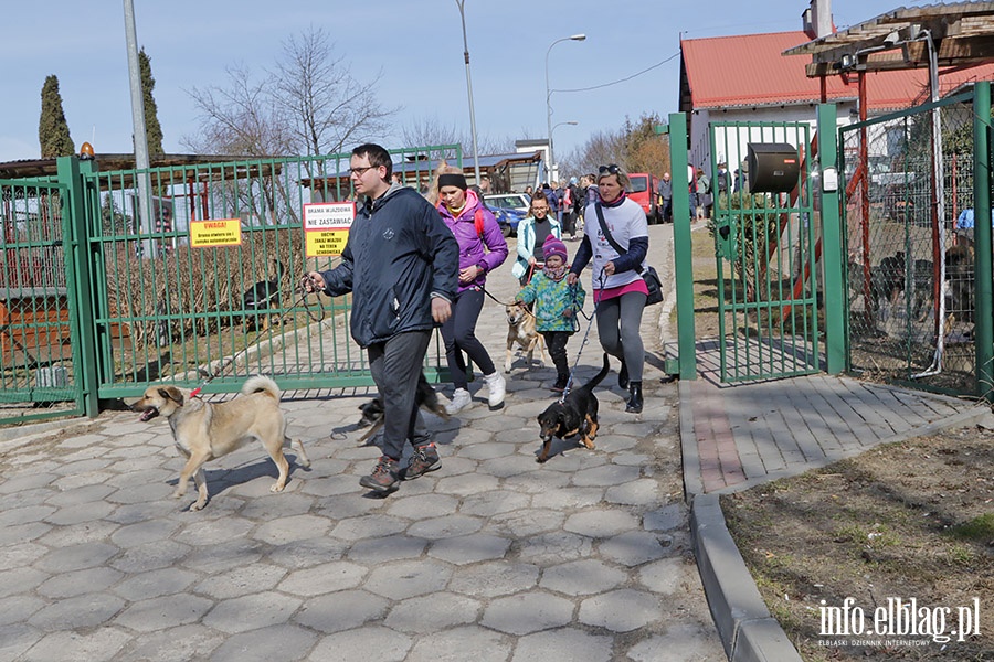 Wielkonocny Bieg na Sze ap, fot. 17