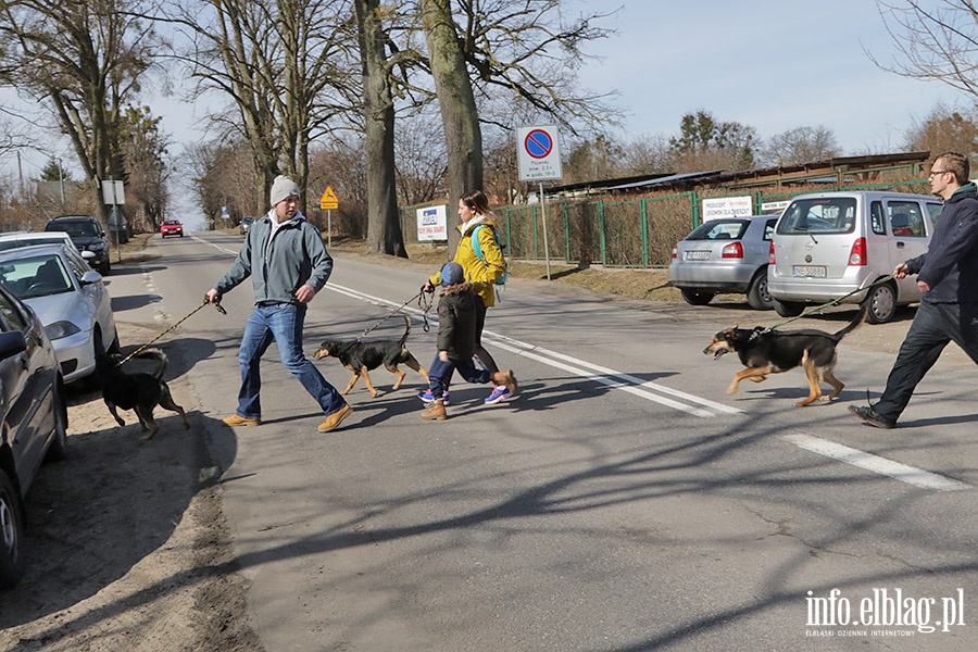 Wielkonocny Bieg na Sze ap, fot. 18