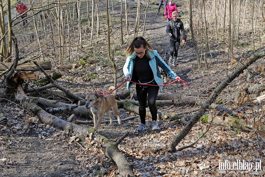 Wielkonocny Bieg na Sze ap, fot. 31