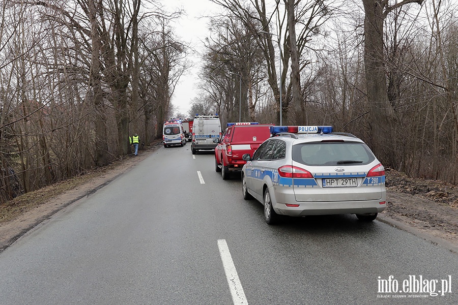 Dbrowa Kolonia Audi uderzy w drzewo, fot. 1