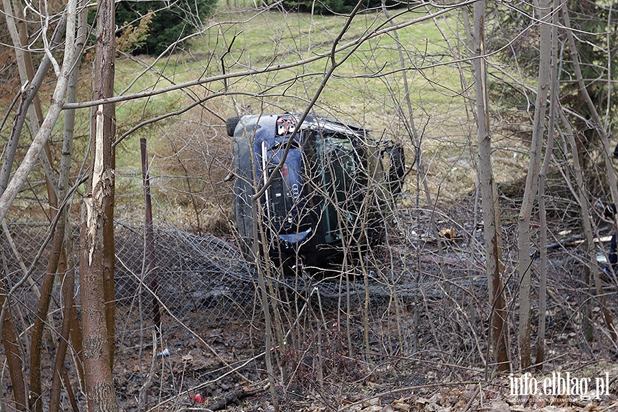 Dbrowa Kolonia Audi uderzy w drzewo, fot. 3