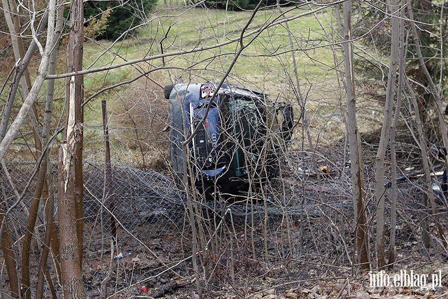 Dbrowa Kolonia Audi uderzy w drzewo, fot. 3