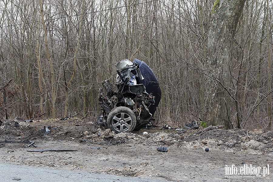 Dbrowa Kolonia Audi uderzy w drzewo, fot. 4