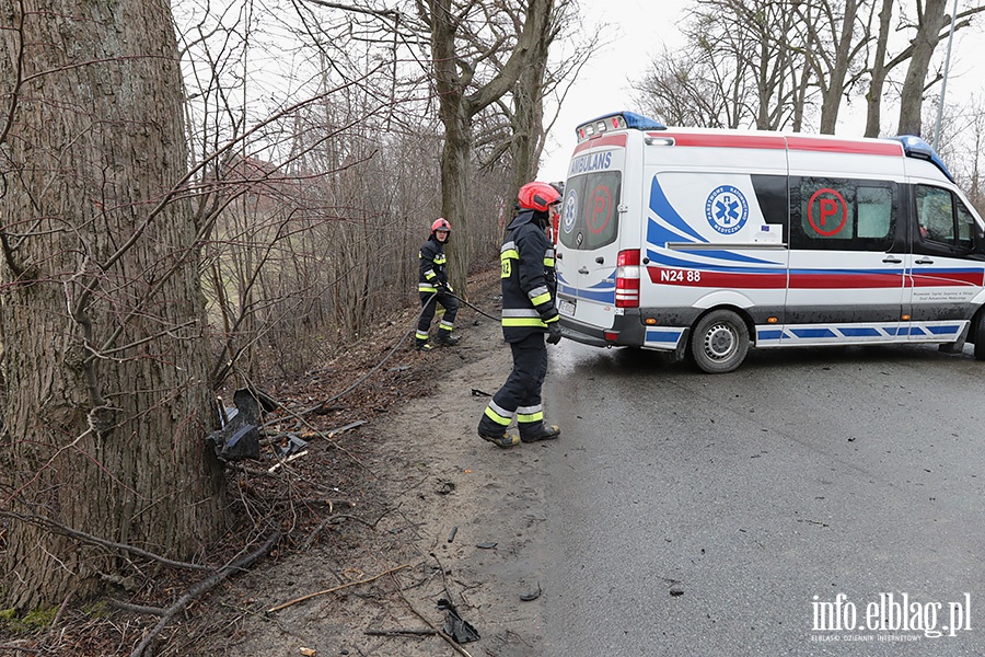 Dbrowa Kolonia Audi uderzy w drzewo, fot. 5