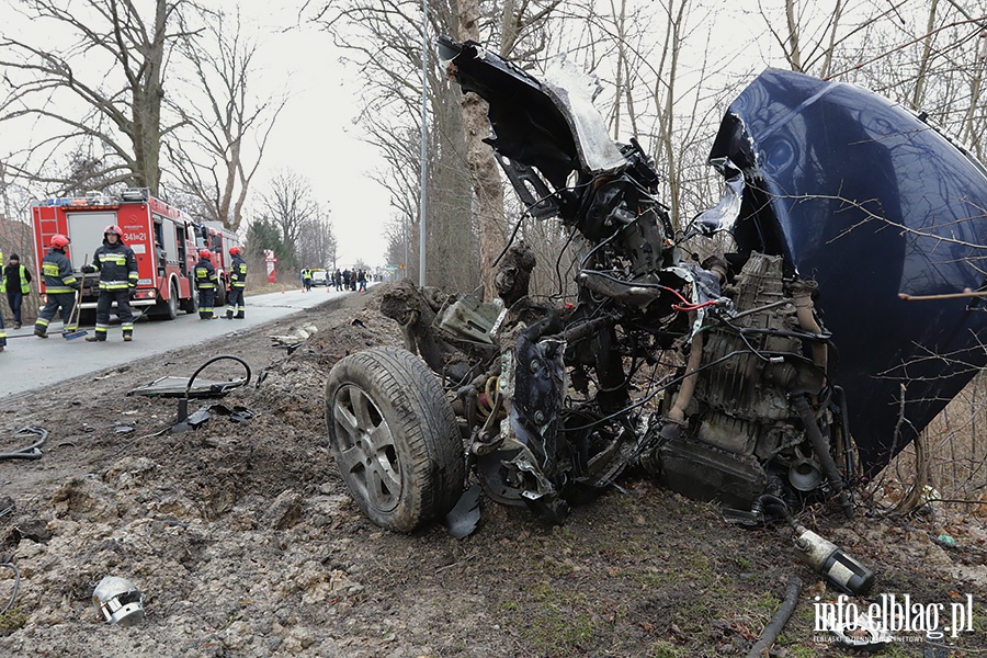 Dąbrowa Kolonia Audi uderzy w drzewo, fot. 11