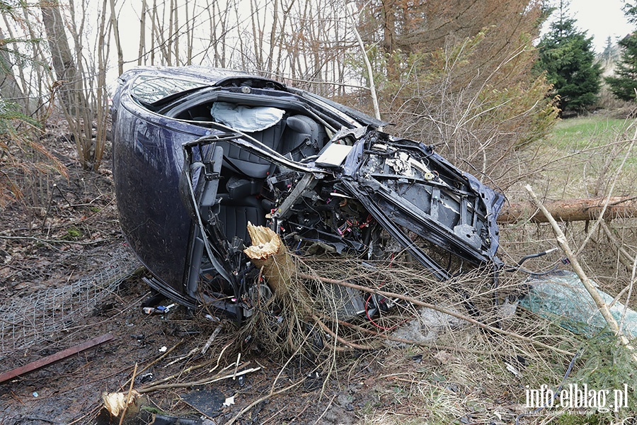Dbrowa Kolonia Audi uderzy w drzewo, fot. 13