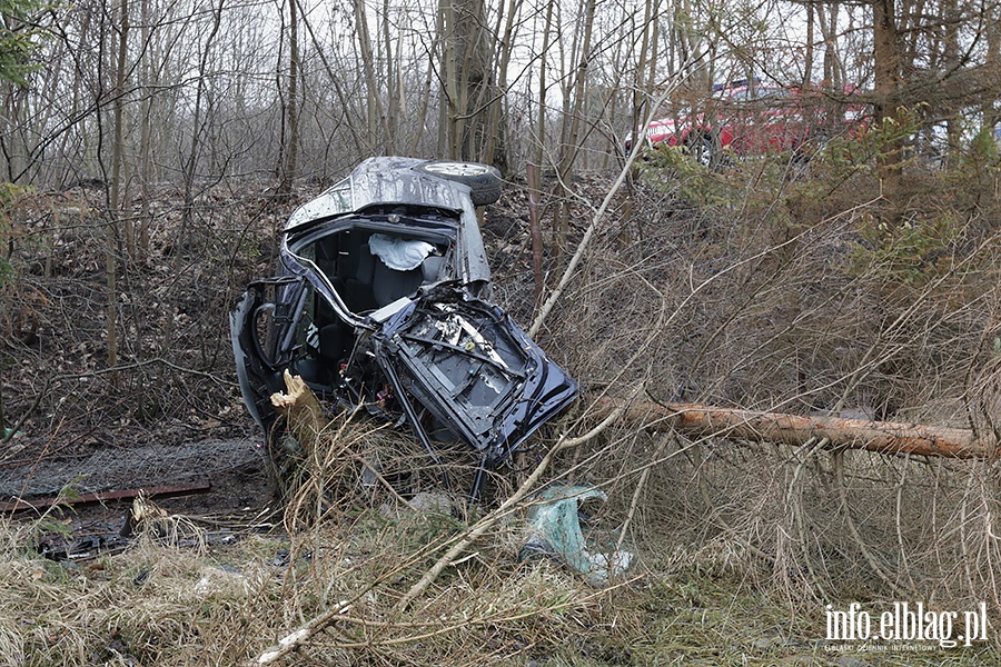 Dbrowa Kolonia Audi uderzy w drzewo, fot. 15