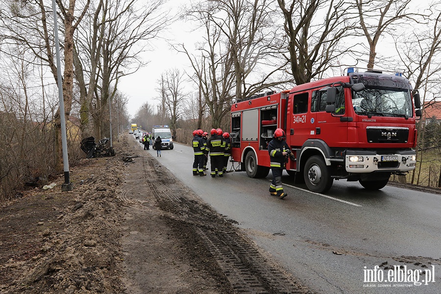 Dbrowa Kolonia Audi uderzy w drzewo, fot. 19