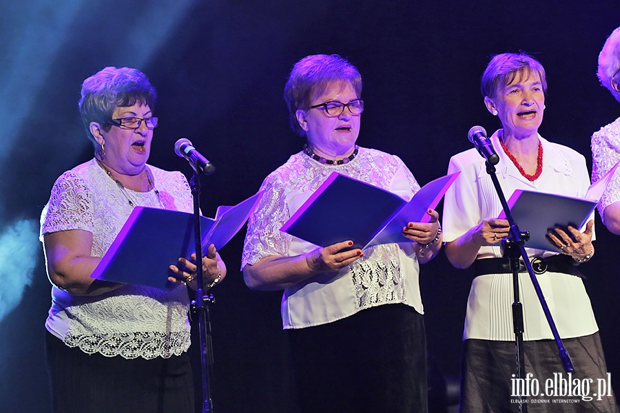 Przegląd Zespołów Seniorskich, fot. 23