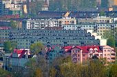 Galerie zdj�� elbl�g i okolic