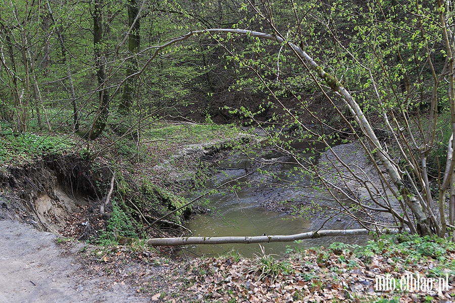 Baantarnia,trasa wzdu Srebnego Potoku, fot. 4