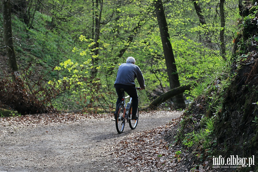 Baantarnia,trasa wzdu Srebnego Potoku, fot. 15