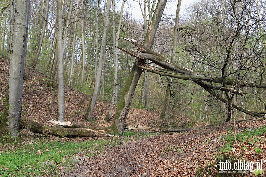 Baantarnia,trasa wzdu Srebnego Potoku, fot. 20