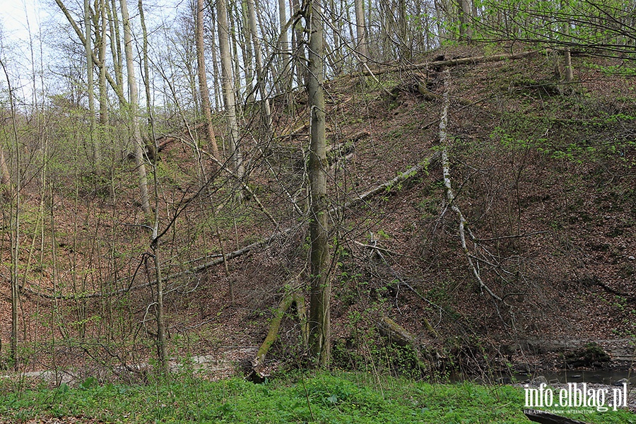 Baantarnia,trasa wzdu Srebnego Potoku, fot. 23