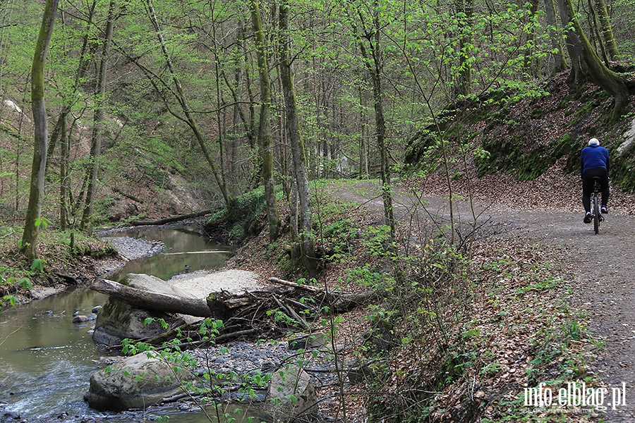 Baantarnia,trasa wzdu Srebnego Potoku, fot. 35