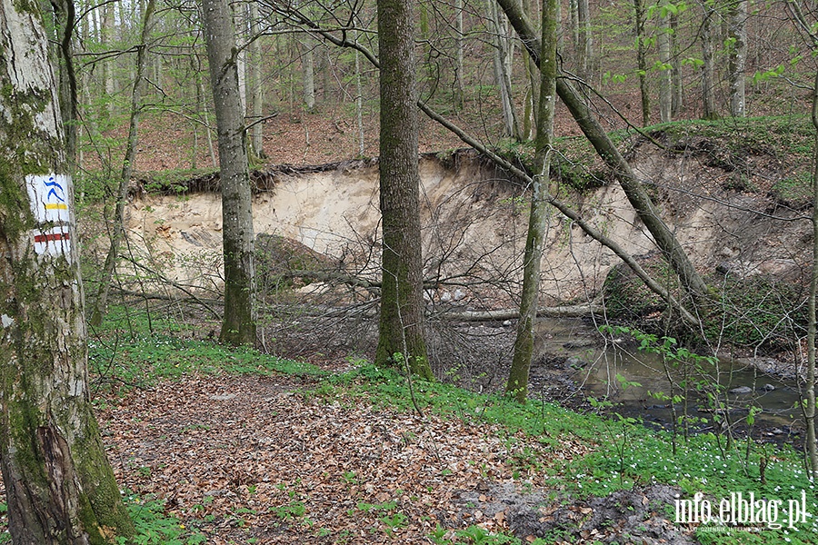 Baantarnia,trasa wzdu Srebnego Potoku, fot. 36