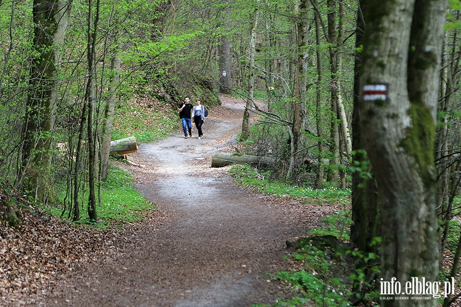 Baantarnia,trasa wzdu Srebnego Potoku, fot. 40