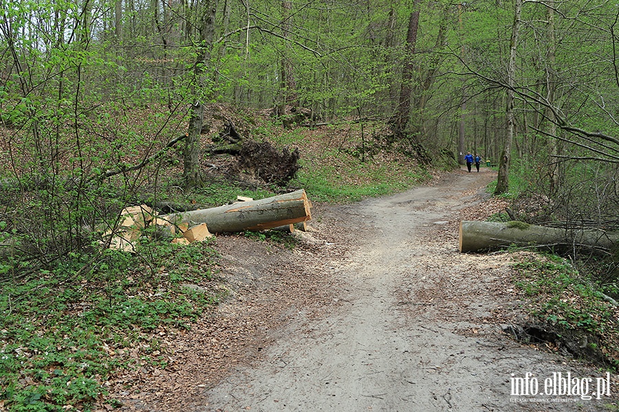Baantarnia,trasa wzdu Srebnego Potoku, fot. 41