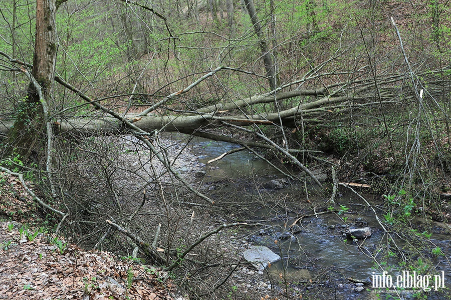 Baantarnia,trasa wzdu Srebnego Potoku, fot. 42