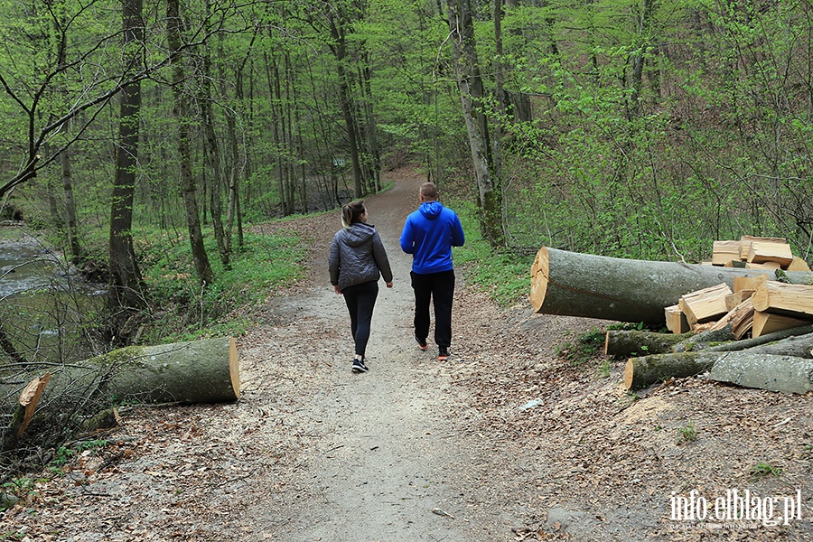 Baantarnia,trasa wzdu Srebnego Potoku, fot. 44