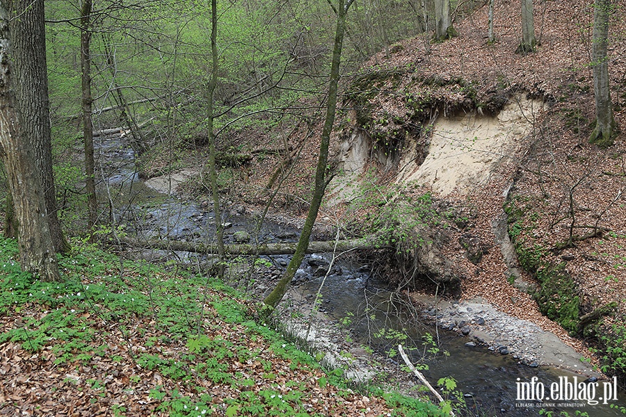 Baantarnia,trasa wzdu Srebnego Potoku, fot. 47