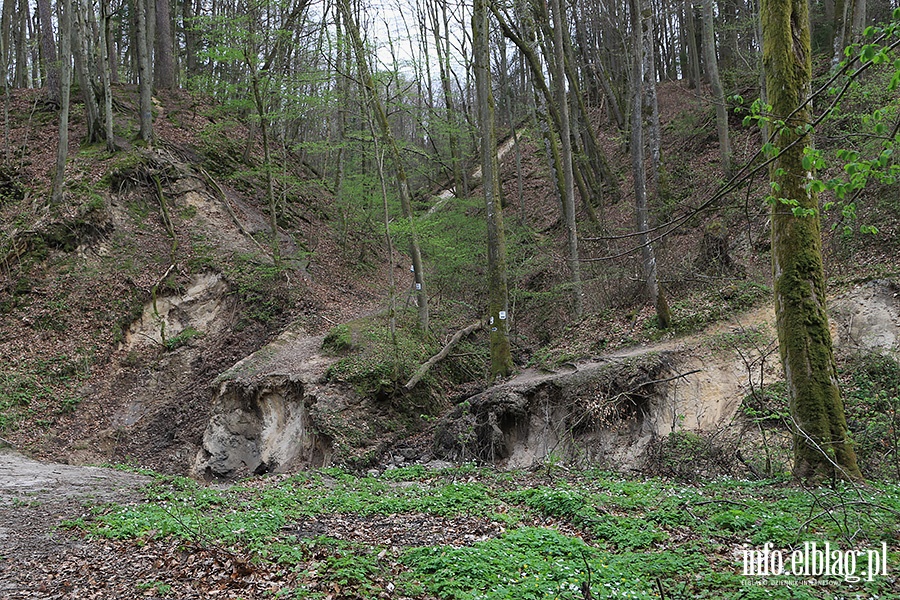 Baantarnia,trasa wzdu Srebnego Potoku, fot. 58