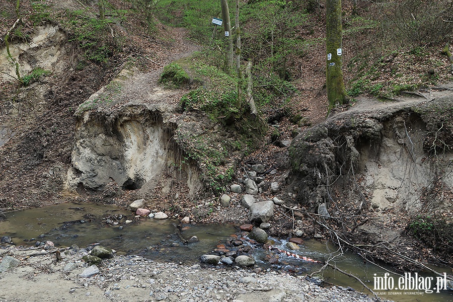 Baantarnia,trasa wzdu Srebnego Potoku, fot. 59