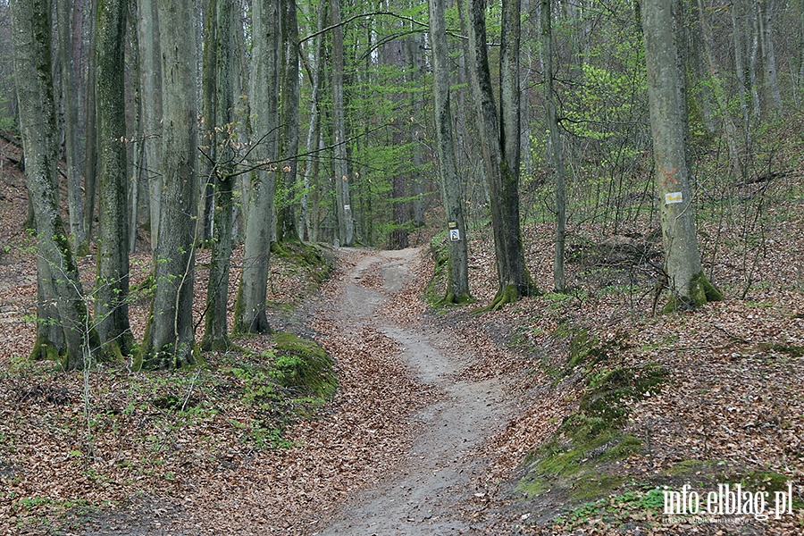 Baantarnia,trasa wzdu Srebnego Potoku, fot. 62