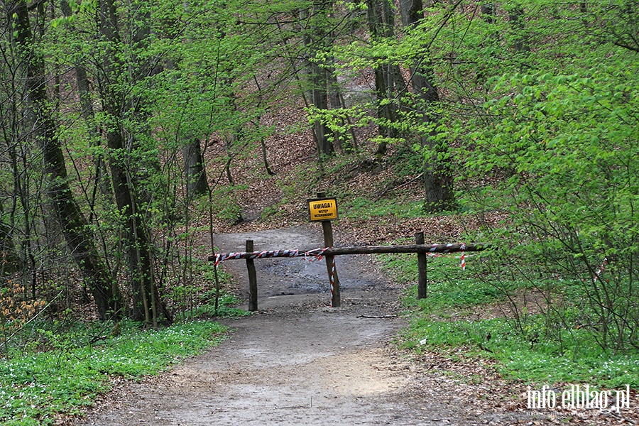 Baantarnia,trasa wzdu Srebnego Potoku, fot. 63