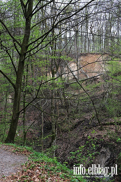 Baantarnia,trasa wzdu Srebnego Potoku, fot. 66