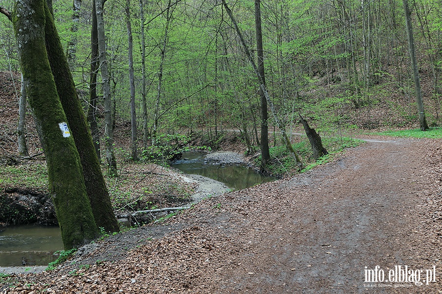 Baantarnia,trasa wzdu Srebnego Potoku, fot. 76